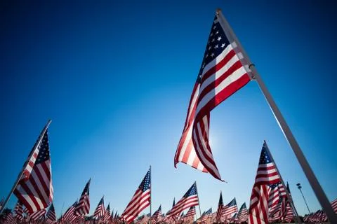 A display of american flags with a sky background Stock Photos
