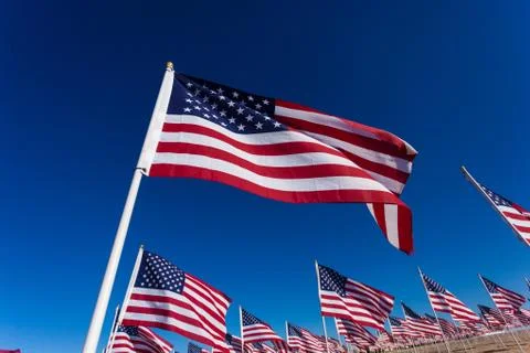 A display of American flags with a sky background Stock Photos