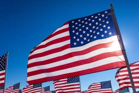 A display of American flags with a sky background Stock Photos