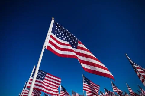 A display of American flags with a sky background Stock Photos