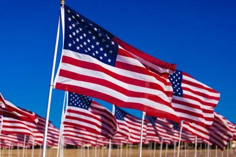 A display of American flags with a sky background Stock Photos