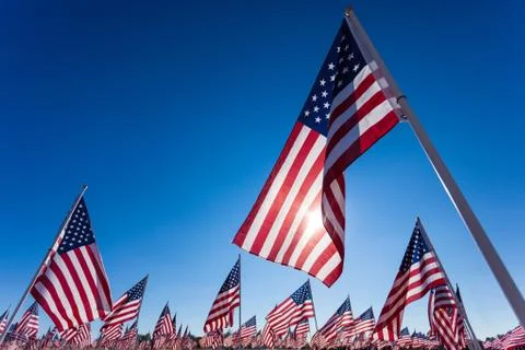 A display of American flags with a sky background Stock Photos