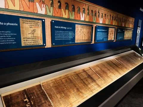 Display of ancient Egyptian papyrus scrolls and hieroglyphs in a museum exh.. 스톡 사진