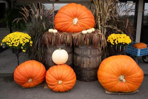 Display of Autumn decorations with rustic barrels Stock Photos