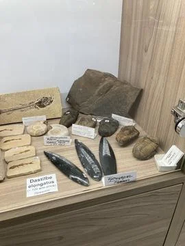 Display case of rocks, minerals, labeled specimens, possibly arrowheads or .. Stock Photos