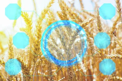 Display with data of humidity, temperature, solar activity, fertilizer to det Stock Photos