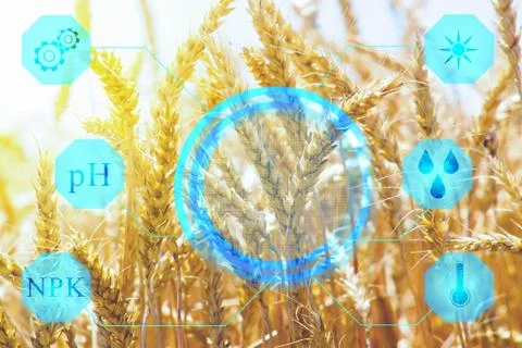 Display with data of humidity, temperature, solar activity, fertilizer to det Stock Photos