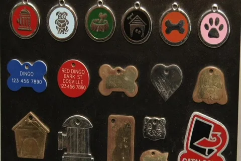 Display Of Dog Tags 動画素材 780158
