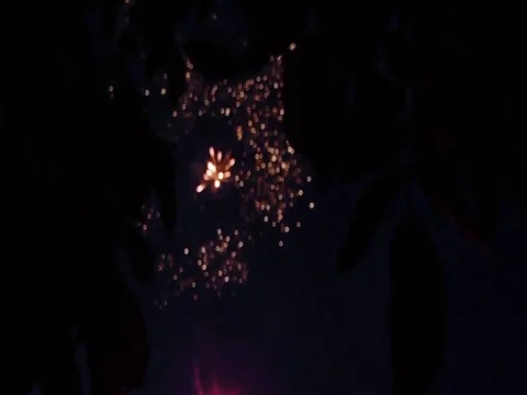 Display, firework, exploding, sky, celebration, new, holiday, night, event Stock Footage 78223001