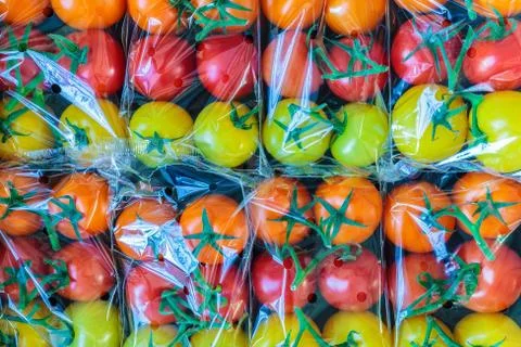 Display of fresh plastic wrapped cherry tomatoes Stock Photos