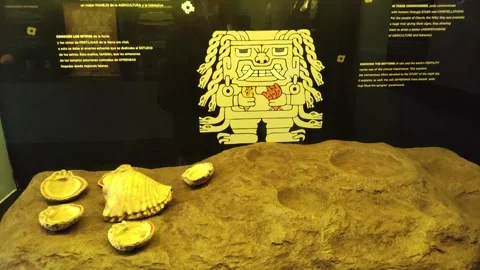Display items of fossilized shells in an inca museum near Cusco, Peru. 動画素材 288511953
