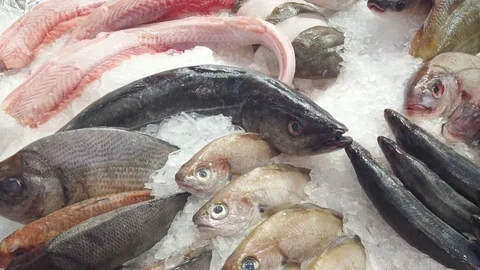 Display of many fresh fish of various varieties on a bed of ice in the fishmo Stock Footage 126003135