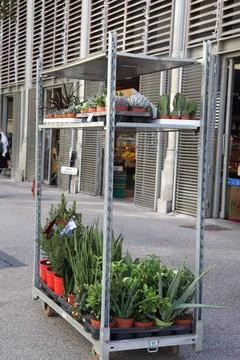 Display Rack with Plants is Shown on the Side of The Street to Attract Buyers Stock Photos