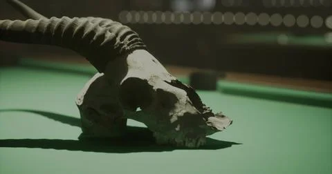 Display of a ram skull resting on a green billiard table in dim lighting Stock Illustration