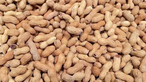 A display of raw peanuts presented elegantly on a flat surface for viewing .. Foto stock