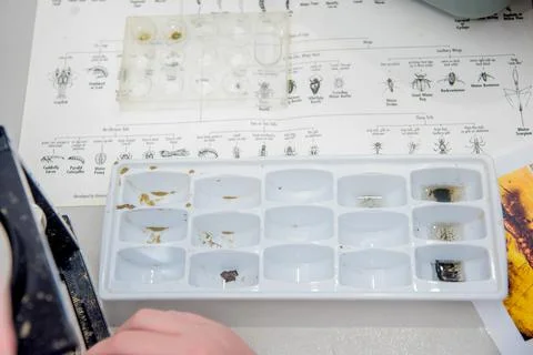 Display of science experiment materials. Foto stock