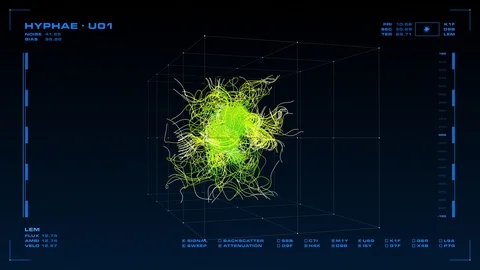 Display screen: rotating 3D mycelium, and related data. Video stock 86490434