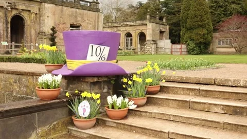 Display of Spring Flowering Daffodils Narcissus 'Tete a Tete' in Terracotta Pot Stock Footage 182491690