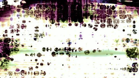 A display in a store 스톡 동영상 157757861