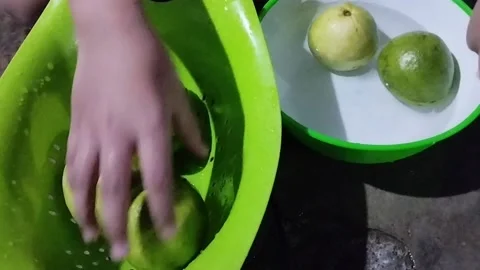 Display of three drained red crystal guavas Stock Footage 229251899