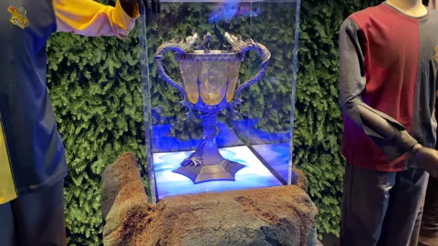 Display of the Triwizard Cup inside the Harry Potter Studio Tour London Stock Footage 322922597