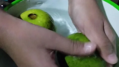 Display of two red crystal guavas cleaned in a bowl Stock Footage 229249798