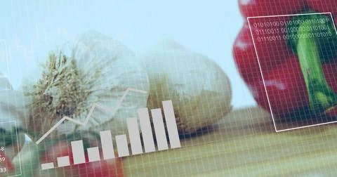 Displaying 2 garlic bulbs, red pepper showing data overlays on wood board, Stock Photos
