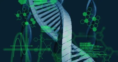 Displaying 3D DNA helix floating in data interface, with molecular graphs and 스톡 일러스트