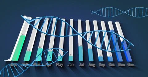 Displaying 3D vertical bar chart showing monthly data with DNA double helix 스톡 사진