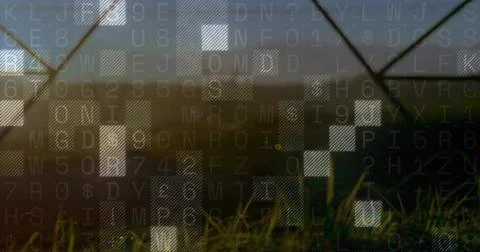 Displaying alphanumeric overlay blending over blades of grass and distant fence 스톡 사진