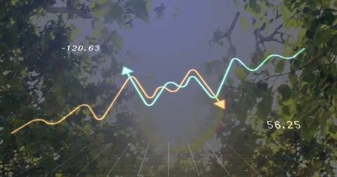 Displaying arrowed line graph above forest canopy, with numeric labels, grid Stock Illustration