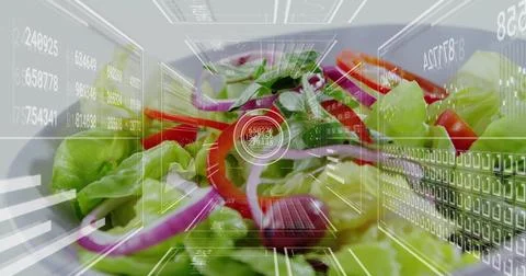 Displaying assorted salad on white ceramic plate at tabletop, featuring Stock Photos
