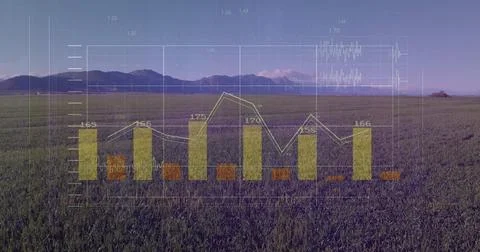 Displaying bar chart and line graph overlaying grassland at dusk with grid lines 스톡 일러스트