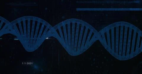 Displaying blue digital double helix graphic across dark scientific interface 스톡 일러스트