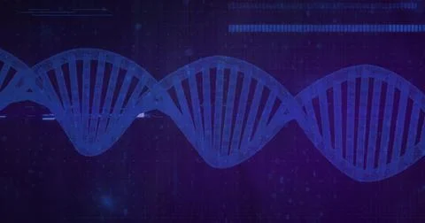 Displaying blue DNA double helix spanning abstract tech banner, showing mesh, Stock Illustration