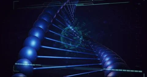Displaying blue DNA helix twisting through virtual lab simulation, with grid Illustrazione stock