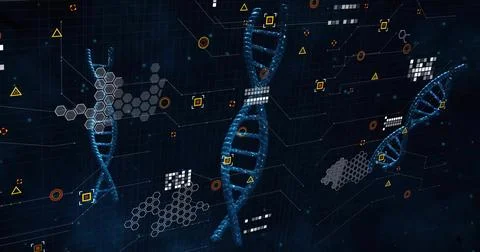 Displaying central blue DNA helix rotating in genomics dashboard, with hexagonal Ilustración de archivo