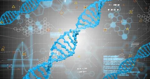 Displaying central blue DNA helix rotating in virtual genomics interface, with Stock Illustration
