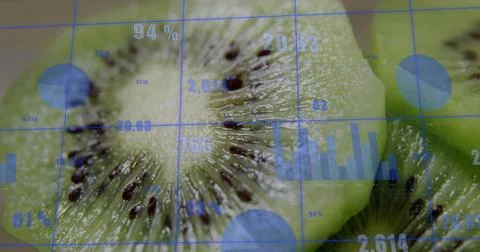 Displaying central kiwi slice showing data overlays on digital interface, with Stock Photos