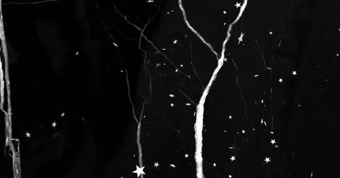 Displaying central vertical vein branching on dark surface close-up, with white Illustrazione stock