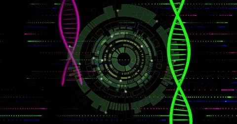 Displaying circular data interface on dark field, with two-color DNA helices and Stock Photos