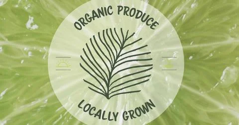 Displaying circular label over lime slice in studio showing ORGANIC PRODUCE 库存照片