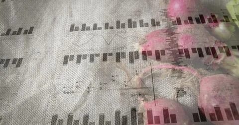 Displaying cluster of red radishes with stems sitting on burlap, overlaid Stock Illustration