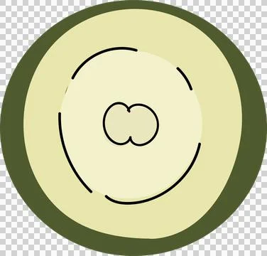 Displaying concentric rings, olive, yellow, cream, black arcs, twin circle, Ilustración de archivo