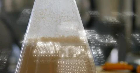 Displaying conical flask containing foam-topped brown liquid in brewery with Stock Photos