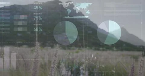 Displaying data dashboard overlay in grass meadow, with pie charts bar graphs 스톡 일러스트