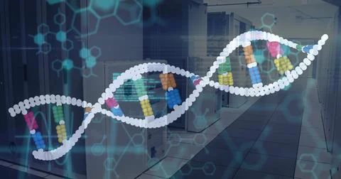 Displaying digital DNA helix floating above data center, with server cabinets Foto stock