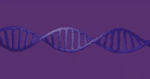 Displaying DNA double helix twisting strands with rungs across purple backdrop Stock Illustration