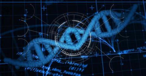 Displaying DNA helix rotating within blue grid matrix, with HUD overlay and Stock Illustration