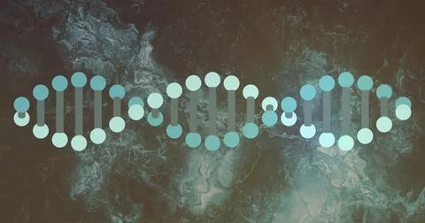 Displaying DNA helix segments in digital graphic art, with nucleotide circles Stock Illustration
